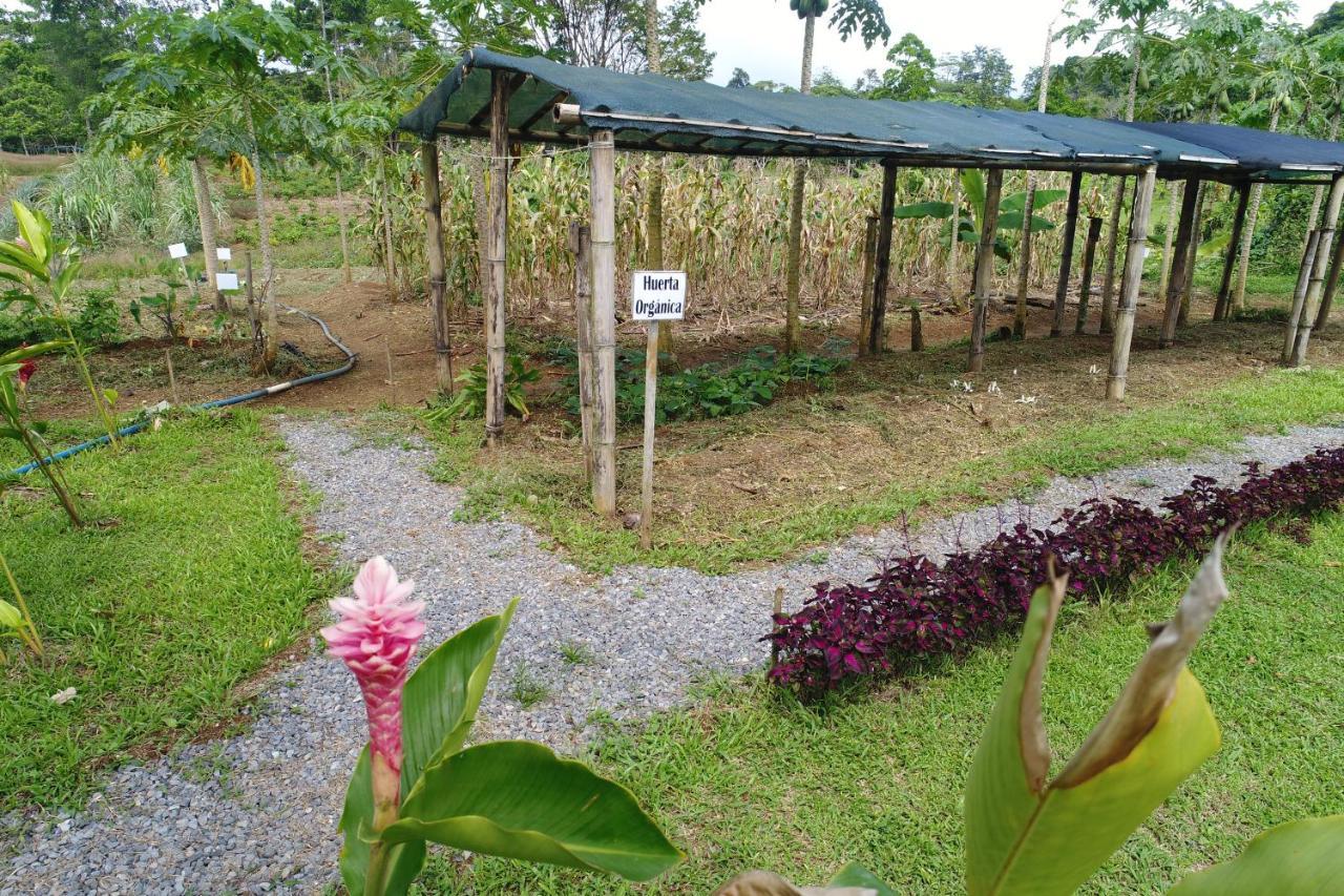 Hope Garden, Sarapiqui, We Connect You With The Sarapiqui Tropical Forest Buitenkant foto