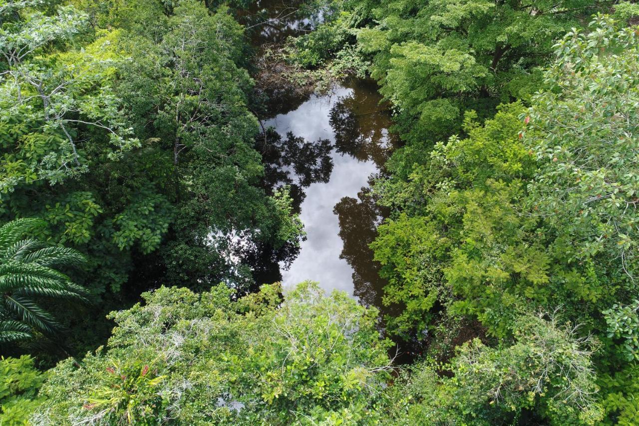 Hope Garden, Sarapiqui, We Connect You With The Sarapiqui Tropical Forest Buitenkant foto