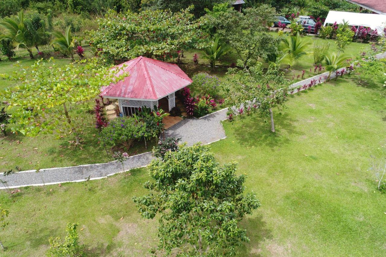 Hope Garden, Sarapiqui, We Connect You With The Sarapiqui Tropical Forest Buitenkant foto