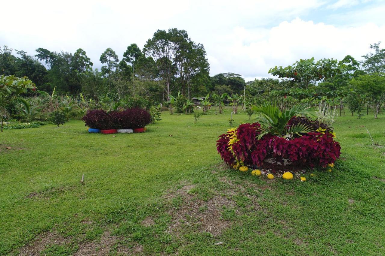 Hope Garden, Sarapiqui, We Connect You With The Sarapiqui Tropical Forest Buitenkant foto