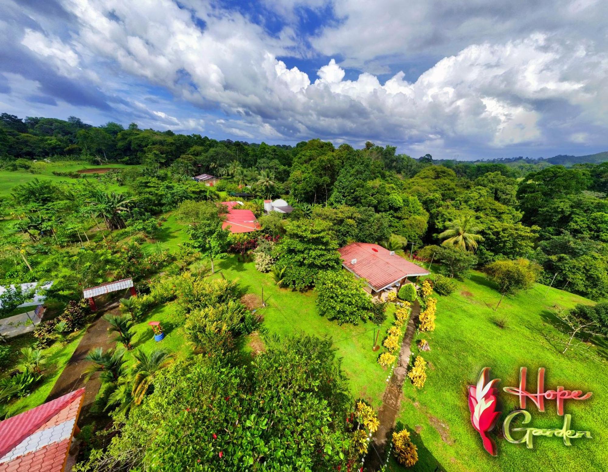 Hope Garden, Sarapiqui, We Connect You With The Sarapiqui Tropical Forest Buitenkant foto