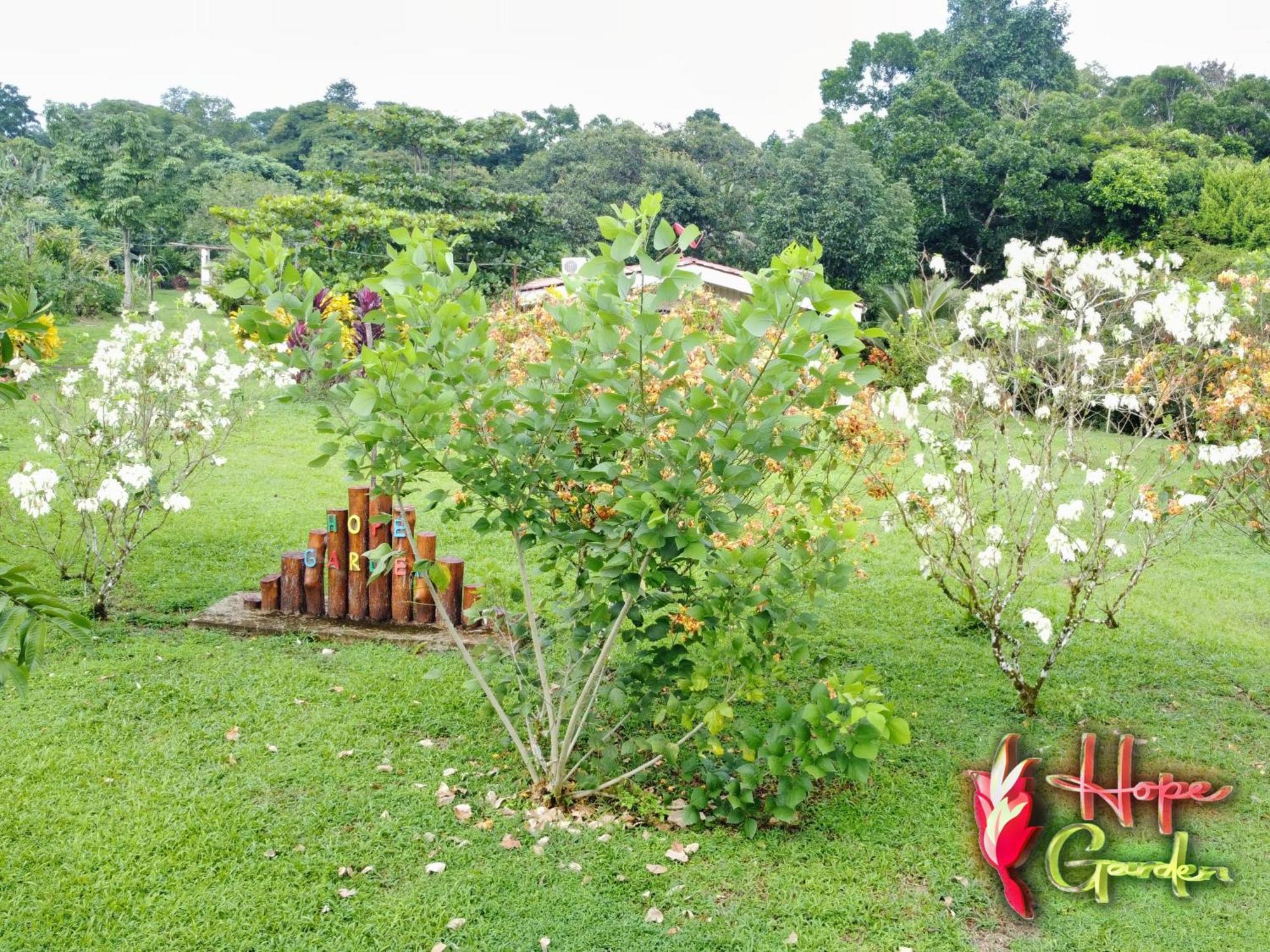 Hope Garden, Sarapiqui, We Connect You With The Sarapiqui Tropical Forest Buitenkant foto