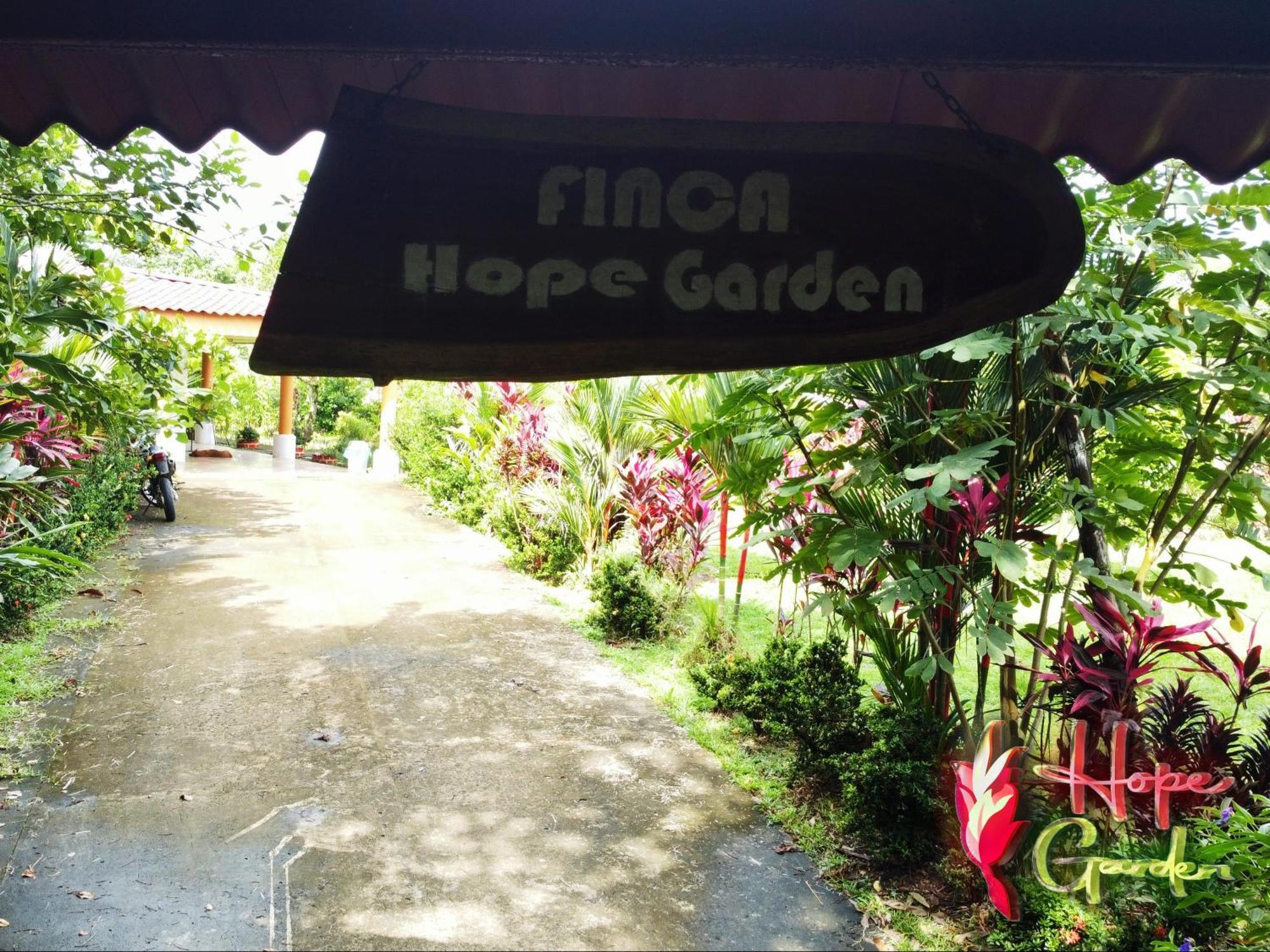 Hope Garden, Sarapiqui, We Connect You With The Sarapiqui Tropical Forest Buitenkant foto