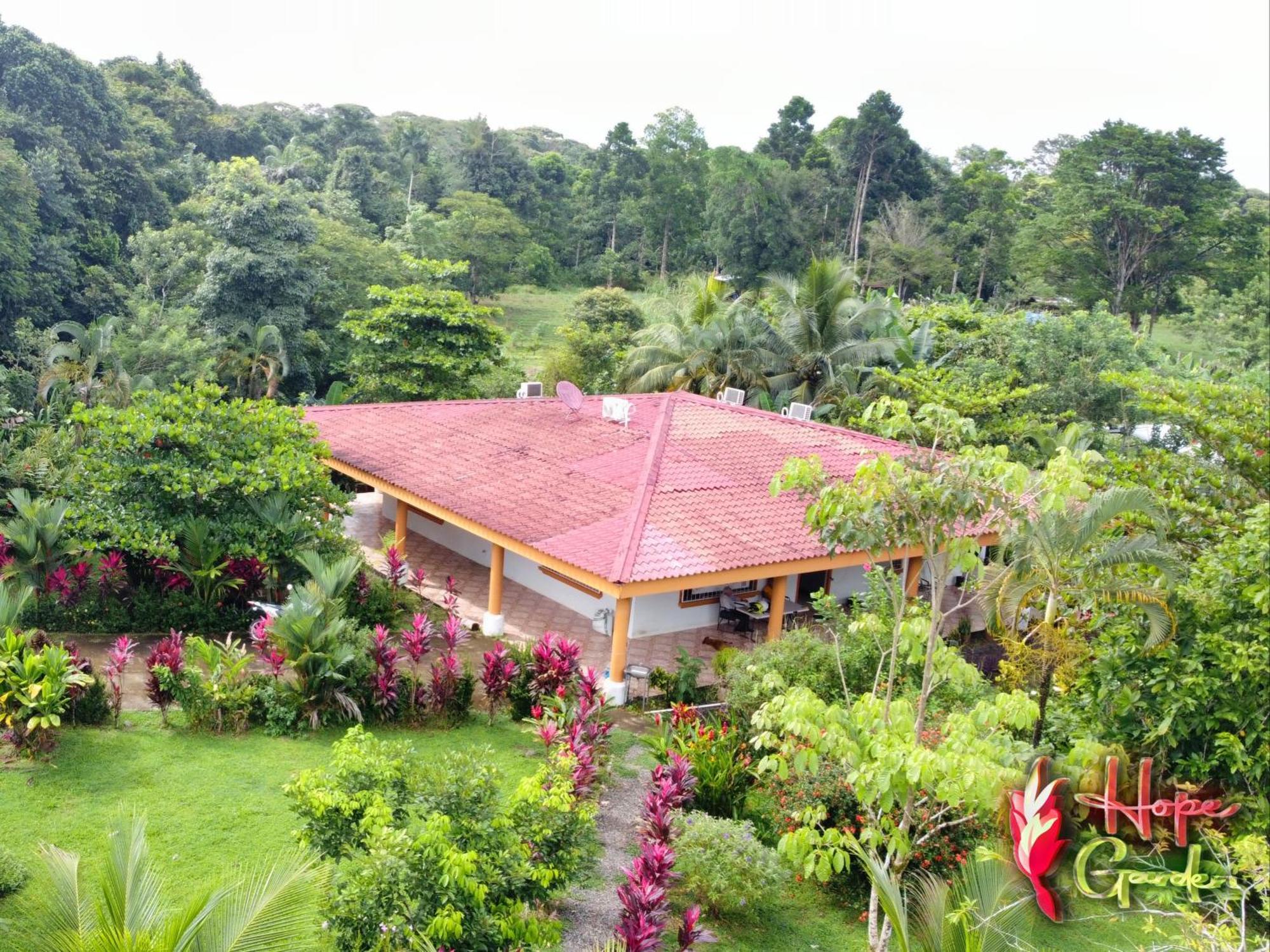 Hope Garden, Sarapiqui, We Connect You With The Sarapiqui Tropical Forest Buitenkant foto