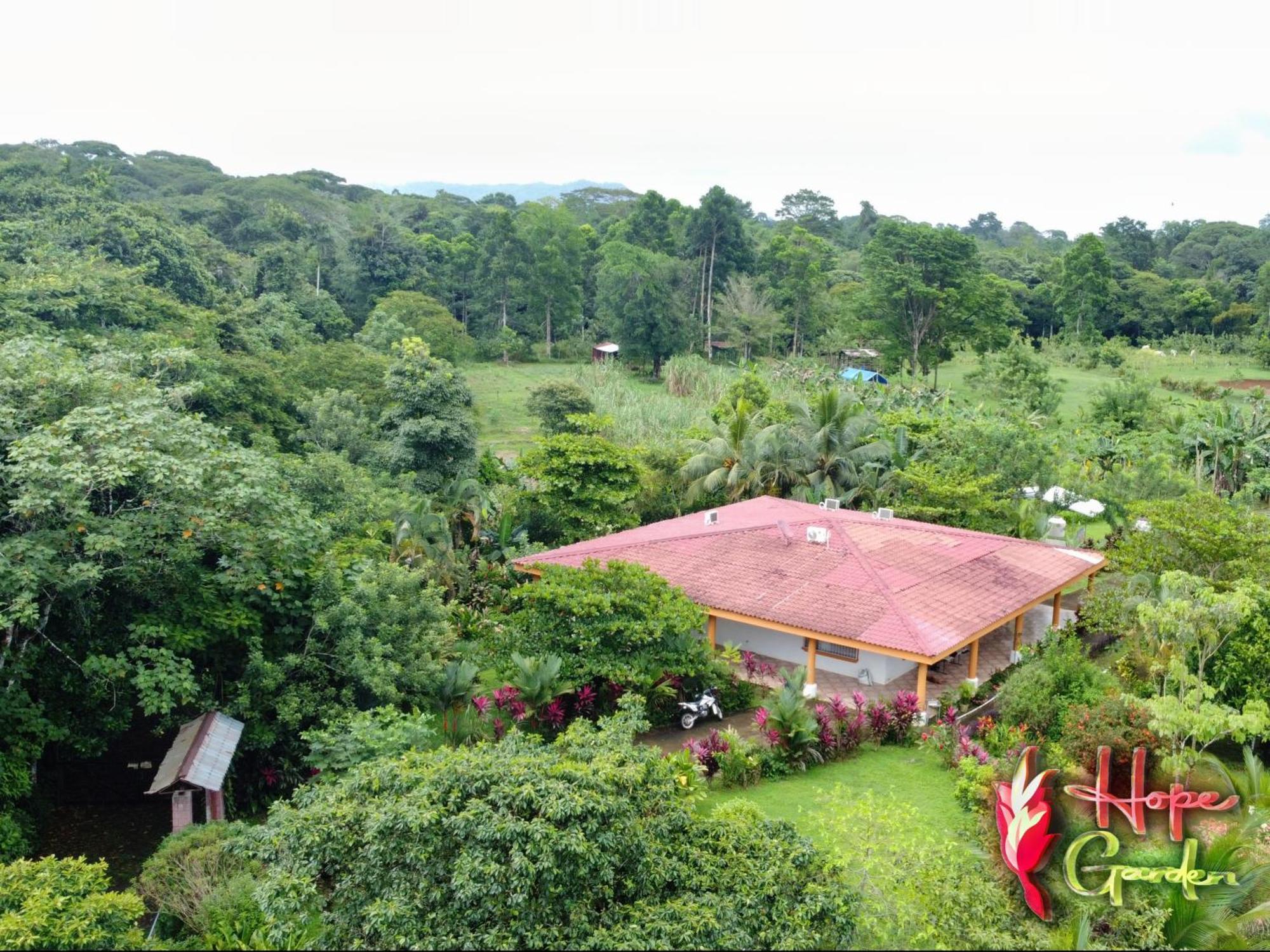Hope Garden, Sarapiqui, We Connect You With The Sarapiqui Tropical Forest Buitenkant foto