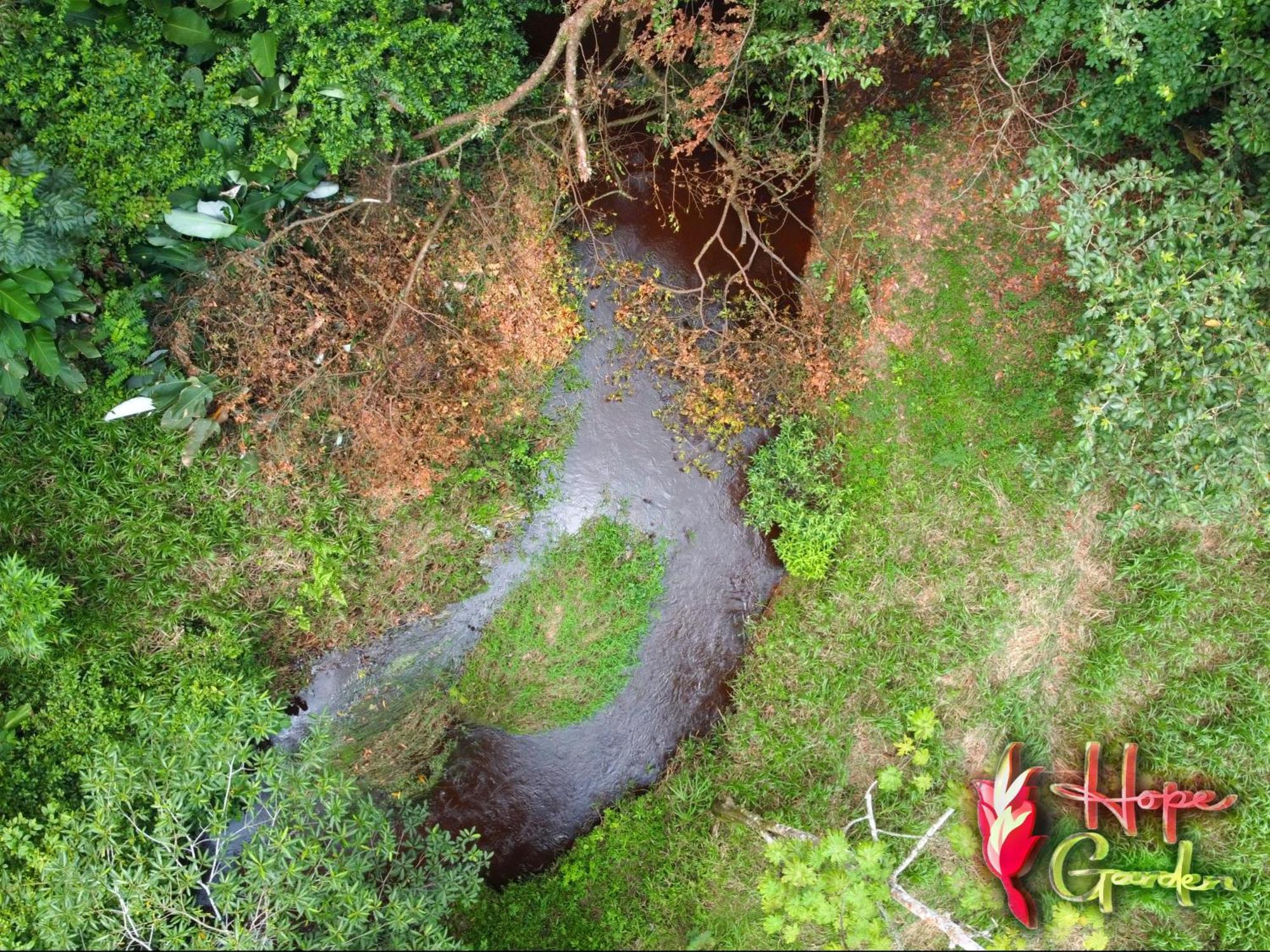 Hope Garden, Sarapiqui, We Connect You With The Sarapiqui Tropical Forest Buitenkant foto