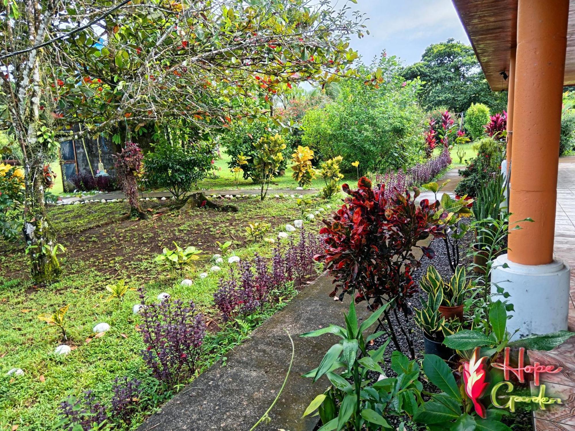 Hope Garden, Sarapiqui, We Connect You With The Sarapiqui Tropical Forest Buitenkant foto
